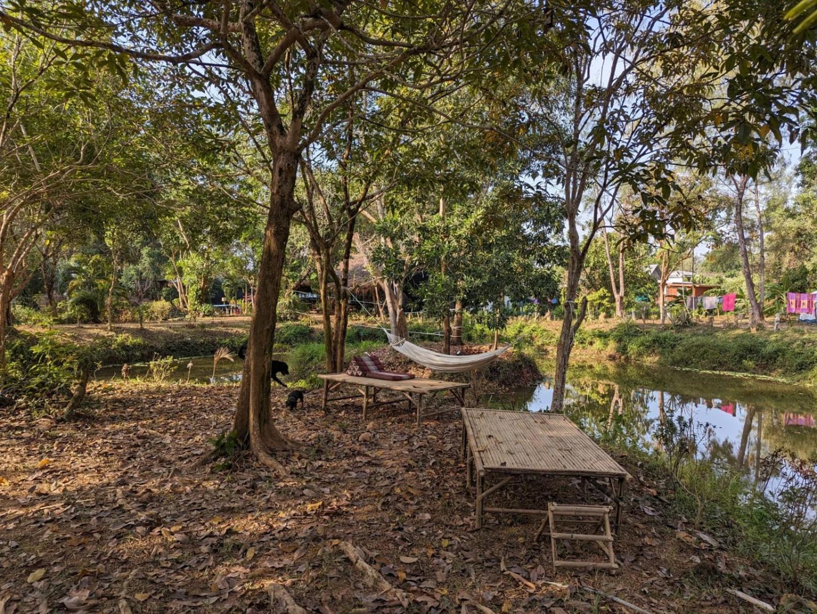 The River Retreat Koh Mak Esterno foto