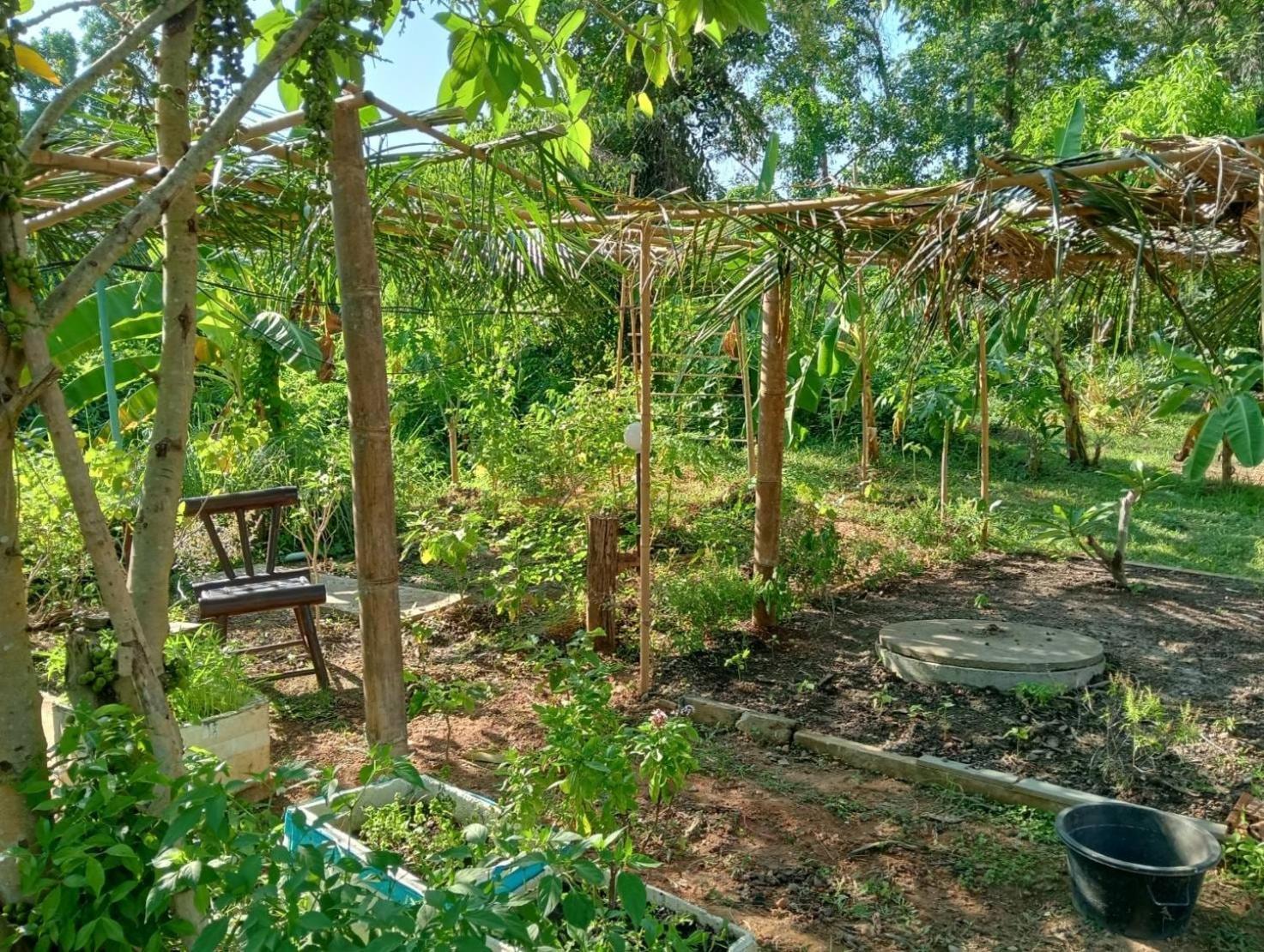The River Retreat Koh Mak Esterno foto
